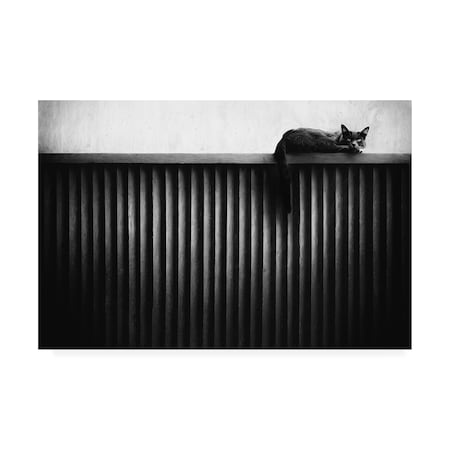 Gary E. Karcz 'Fence Cat' Canvas Art,12x19